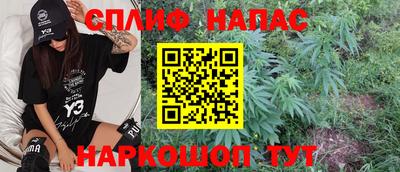 молекула духа Шелехов