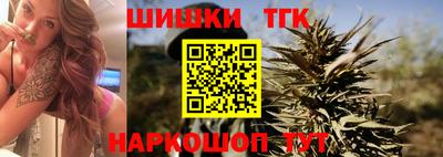 молекула духа Шелехов