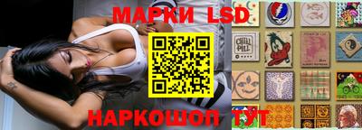 молекула духа Шелехов