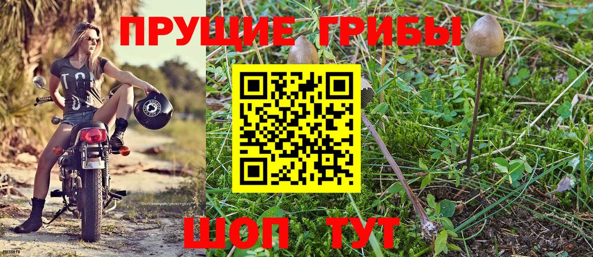Галлюциногенные грибы прущие грибы  Вход с VPN  Комсомольск-на-Амуре 