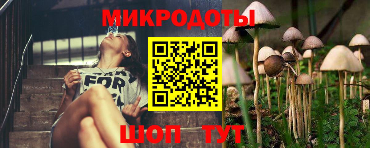 Галлюциногенные грибы Cubensis Комсомольск-на-Амуре